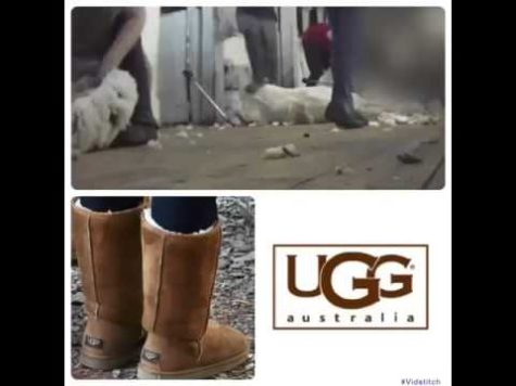 Ugg is hiding a secret