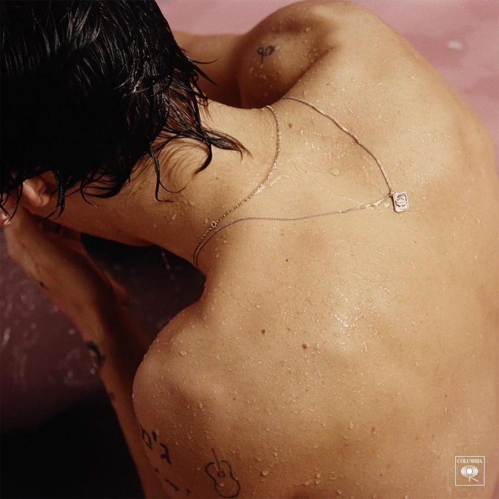 Fans are thrilled with Harry Styless new album