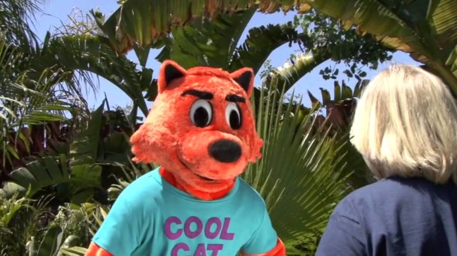 Cool Cat is the coolest