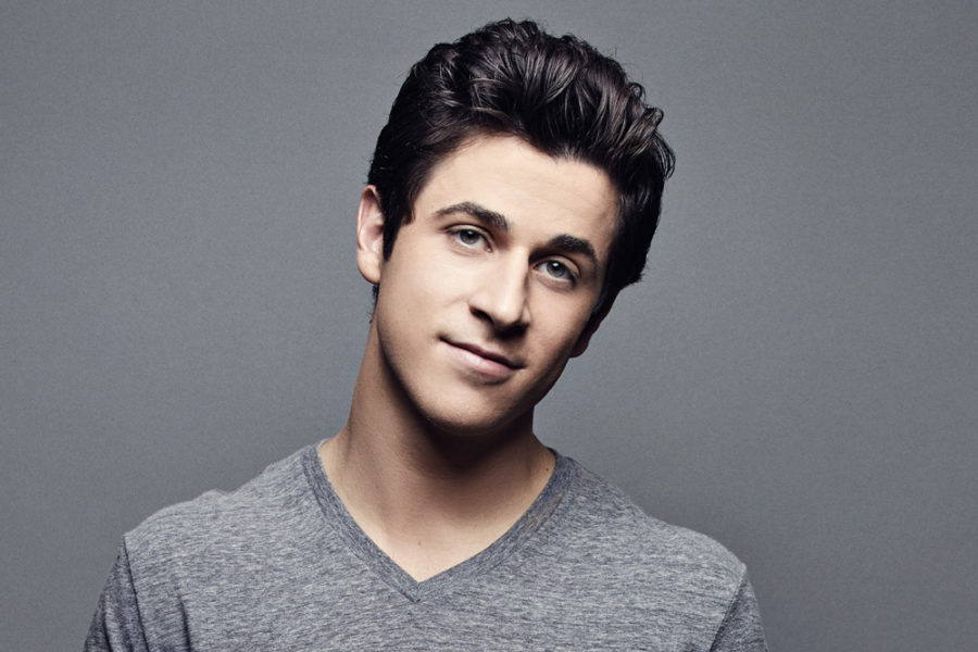 David Henrie arrested at LAX