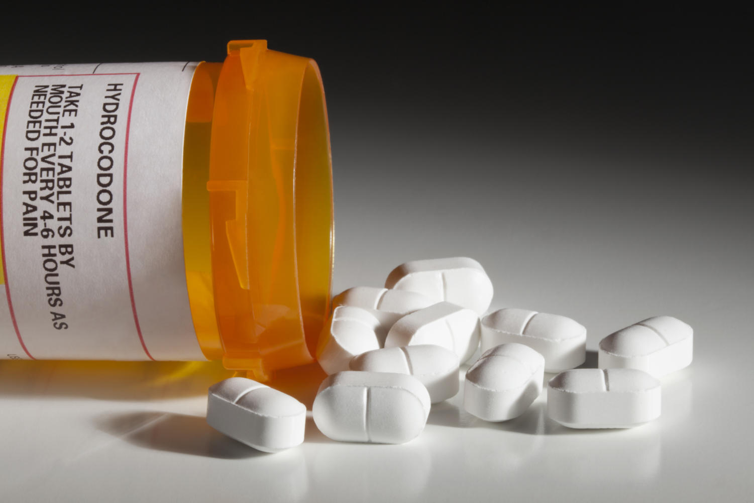 A bottle with a hydrocodone (the generic name for drug sold under other names by various pharmaceutical companies) label and hydrocodone tablets spilling out isolated on white background. Hydrocodone is a popular prescription semi-synthetic opioid that is used to treat moderate to severe pain. Hydrocodone is said to be one of the most common recreational prescription drugs in America.