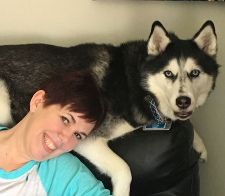 Siberian husky saves her human three times