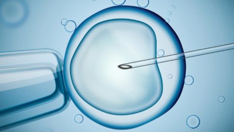 The argument for IVF