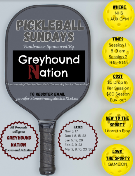 Pickleball: A Young Sport on the Rise